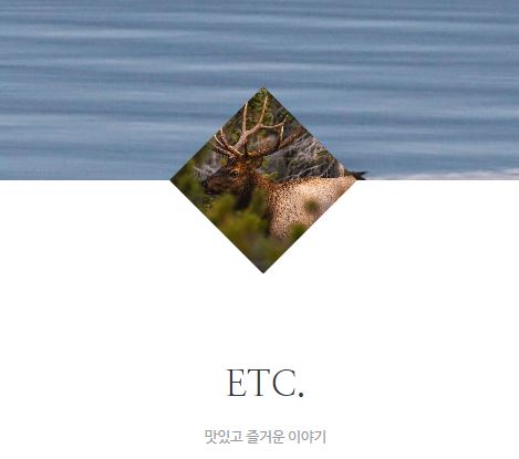 태상의 미니샵이 타운하우스 라이프 기록 사이트로 주목받는 배경