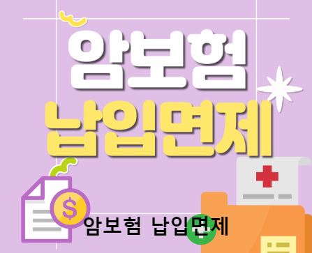 보험비교사이트 위즈인슈로 안전한 보험 선택하기
