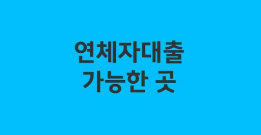 연체자대출의 장기 상환 기간과 이점